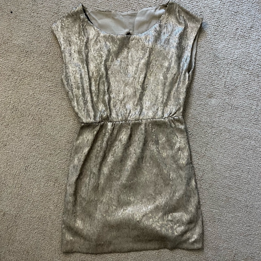 Perfect holiday party sequin mini dress